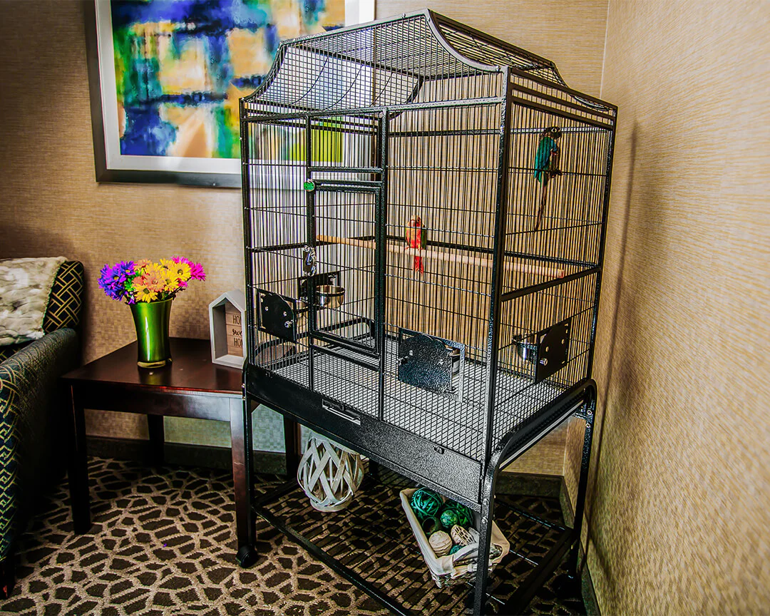 A&E 32"x21" Elegant Flight Cage - Image 2