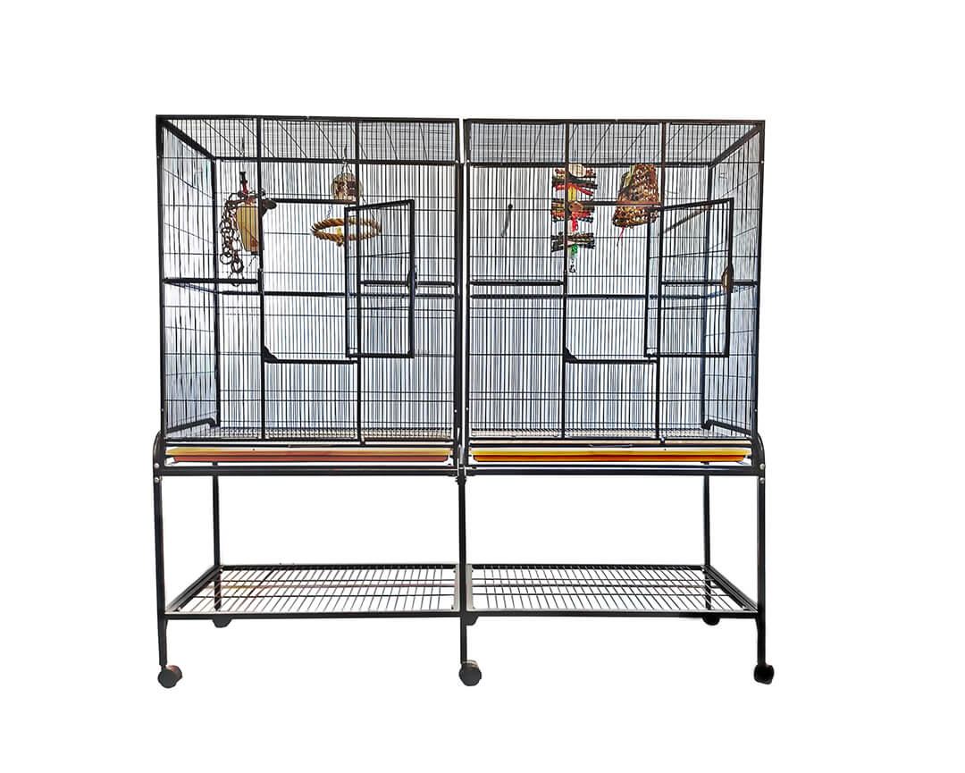 A&E 64"x21" Double Flight Cage with Divider - Image 2