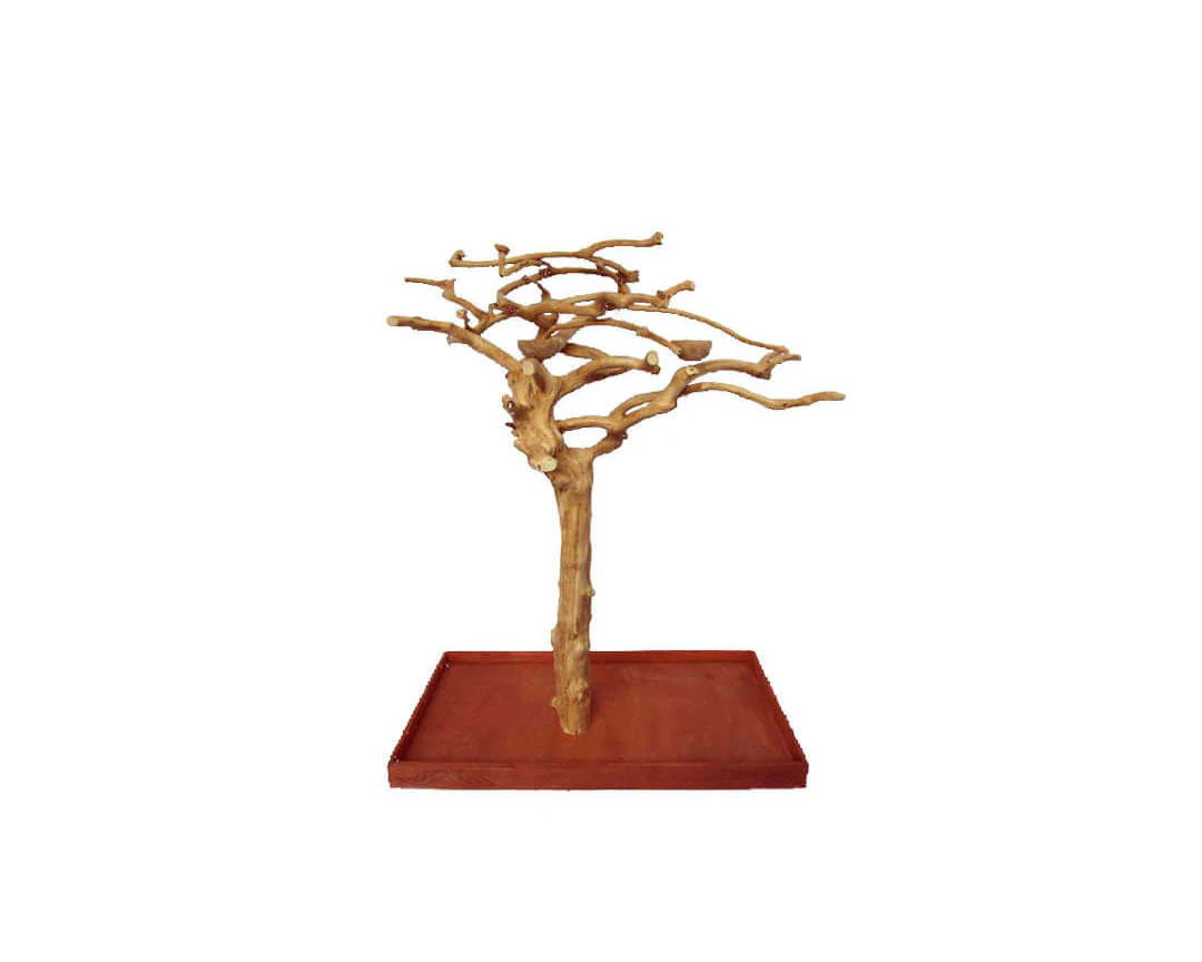 A&E Small Single Java Tree