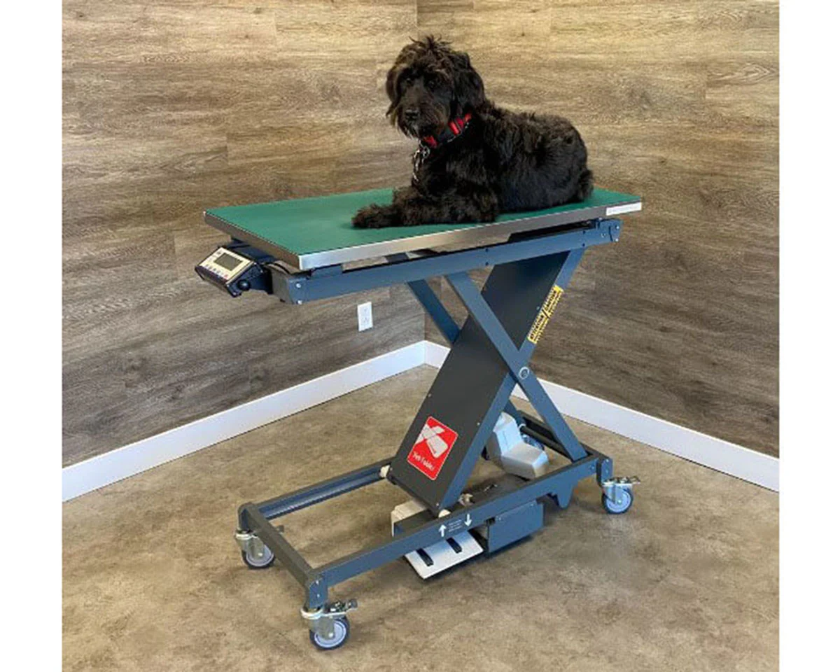 DRE Vet Scissor Veterinary Table with Built-In Scale - Image 2