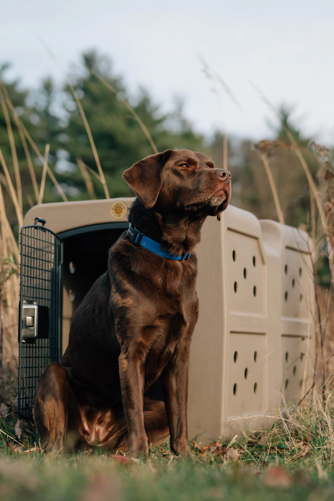 Dakota 283 G3 Framed Door Kennel - Portable Dog Travel Crate - Image 3