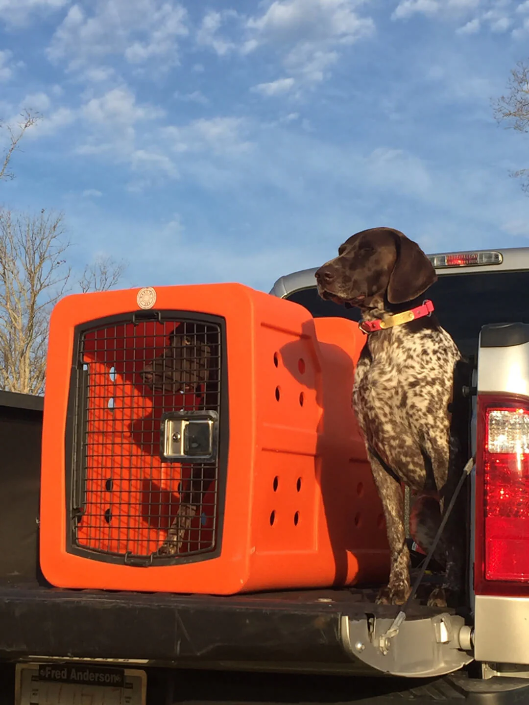Dakota 283 G3 Framed Door Kennel - Portable Dog Travel Crate - Image 5