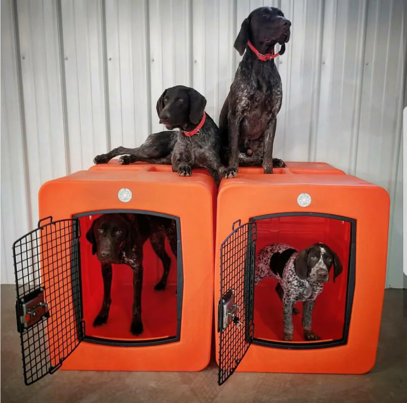 Dakota 283 G3 Framed Door Kennel - Portable Dog Travel Crate - Image 7