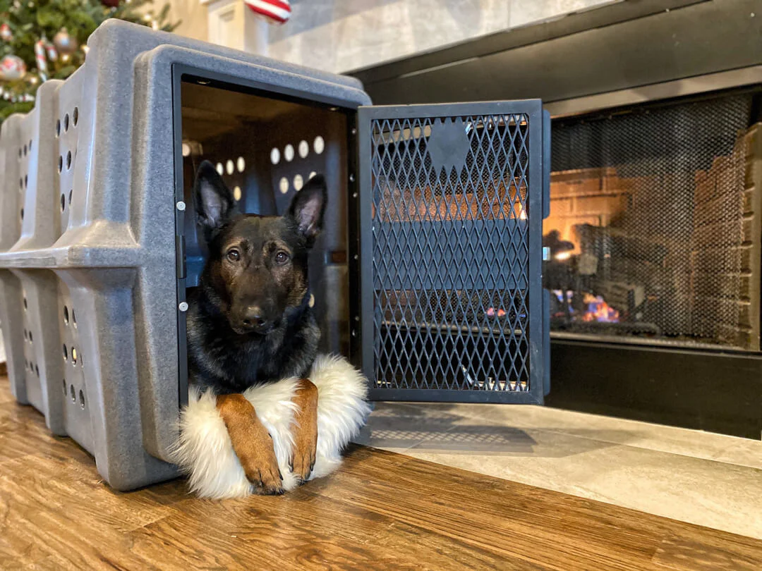 Dakota 283 Hero Kennel - Image 4