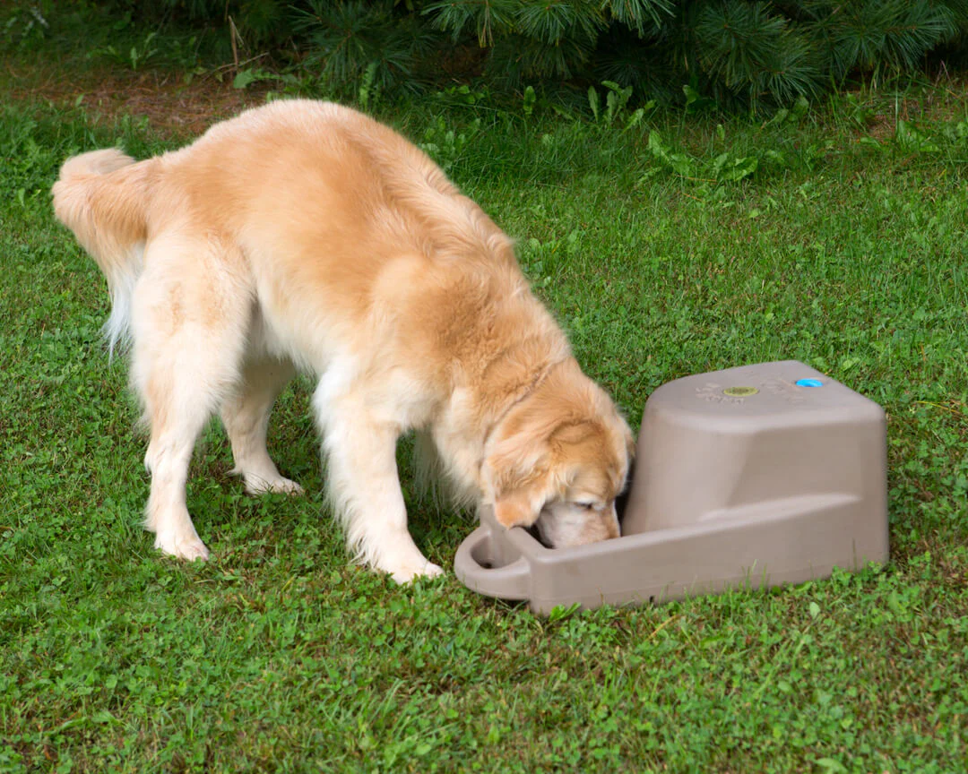 Dakota 283 Dash Portable Water Bowl System - Image 6