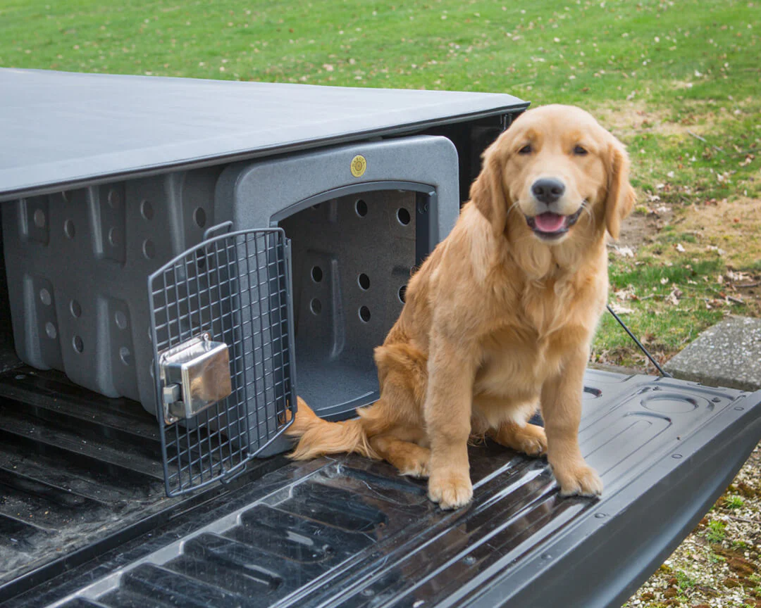 Dakota 283 T1 Low Profile Kennel for Trucks - Image 5