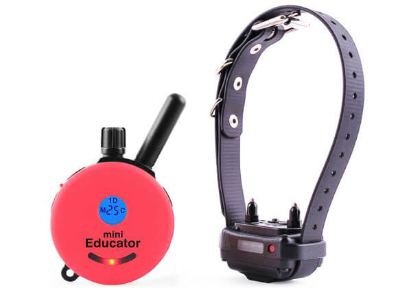 E-Collar ET-300 Mini Educator Remote Dog Trainer 1/2 Mile - Image 5