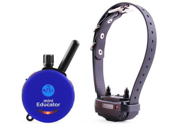 E-Collar ET-300 Mini Educator Remote Dog Trainer 1/2 Mile - Image 7