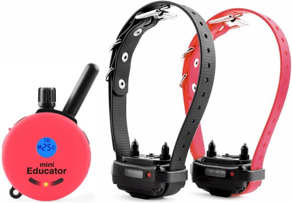 E-Collar ET-302 Mini Educator 2-Dog Remote Trainer 1/2 Mile - Image 5