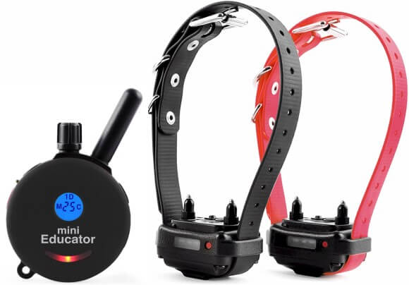 E-Collar ET-302 Mini Educator 2-Dog Remote Trainer 1/2 Mile - Image 7