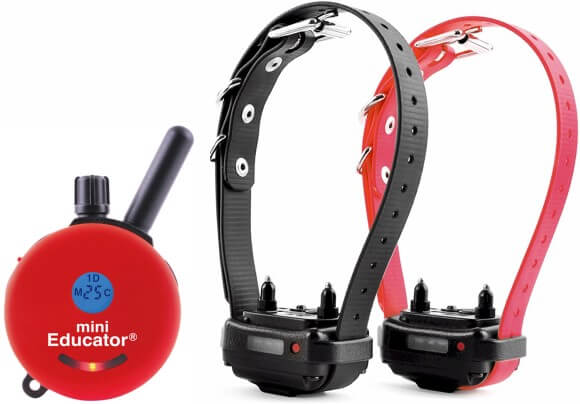 E-Collar ET-302 Mini Educator 2-Dog Remote Trainer 1/2 Mile - Image 8