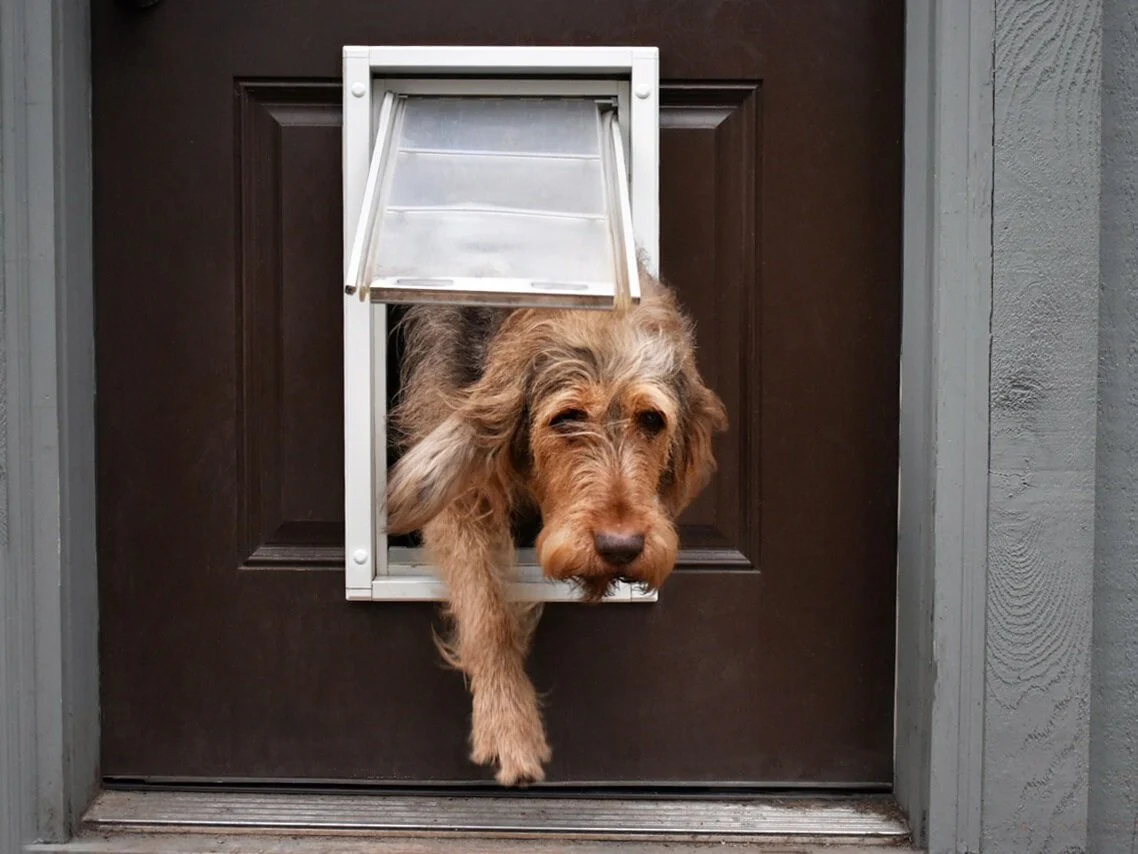 Endura Flap Door Mount Cat & Dog Door - Image 3