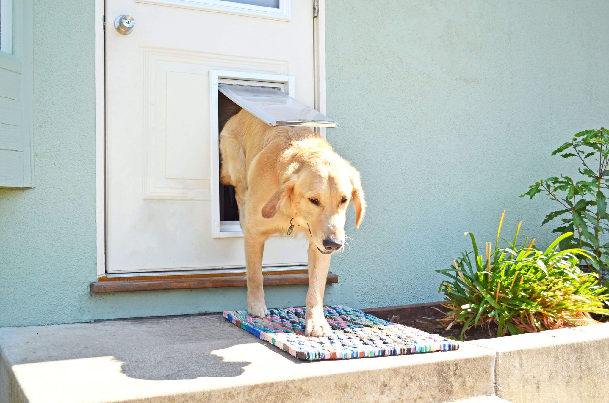 Endura Flap Door Mount Cat & Dog Door - Image 4