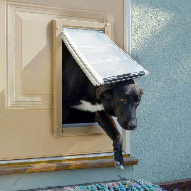 Endura Flap Door Mount Cat & Dog Door - Image 5