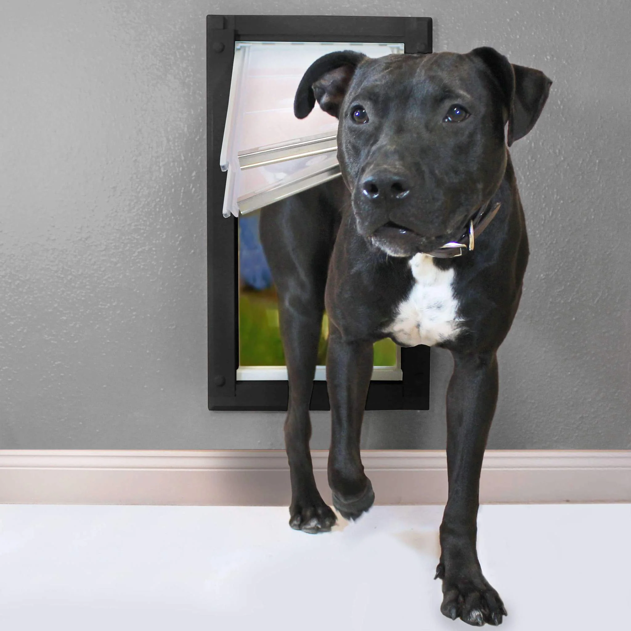 Endura Flap Wall Mount Cat & Dog Door - Image 3