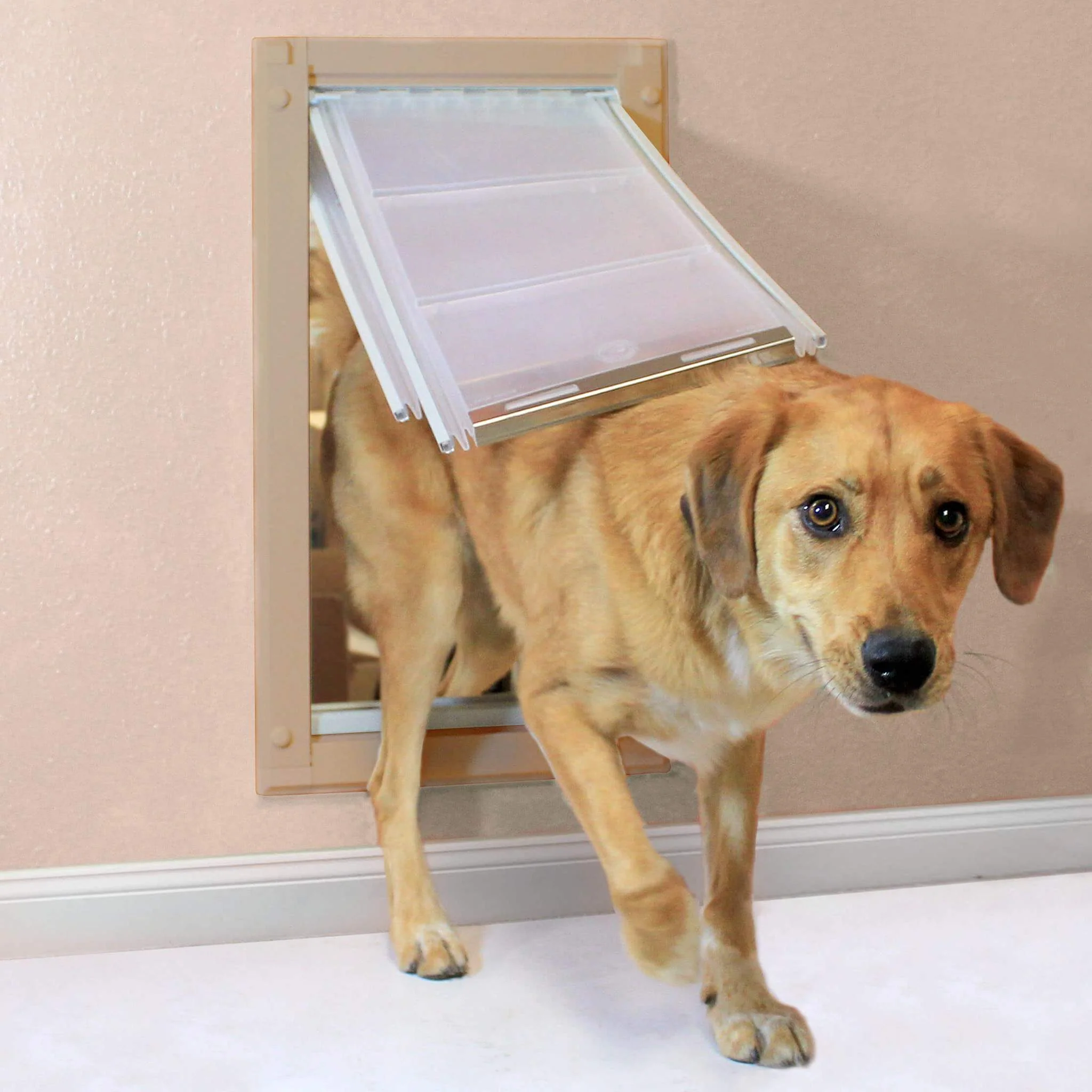 Endura Flap Wall Mount Cat & Dog Door - Image 4