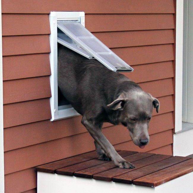 Endura Flap Wall Mount Cat & Dog Door - Image 5