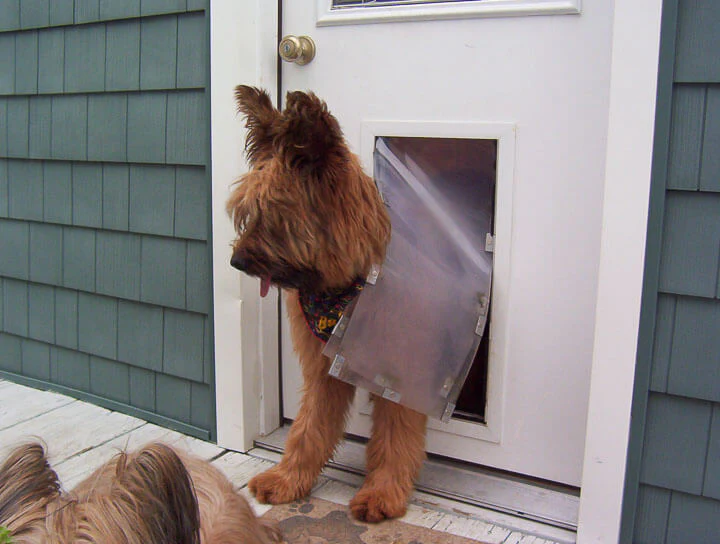 Hale Pet Doors for Doors - Dog & Cat Door - Image 6