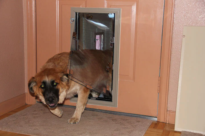 Hale Pet Doors for Doors - Dog & Cat Door - Image 7