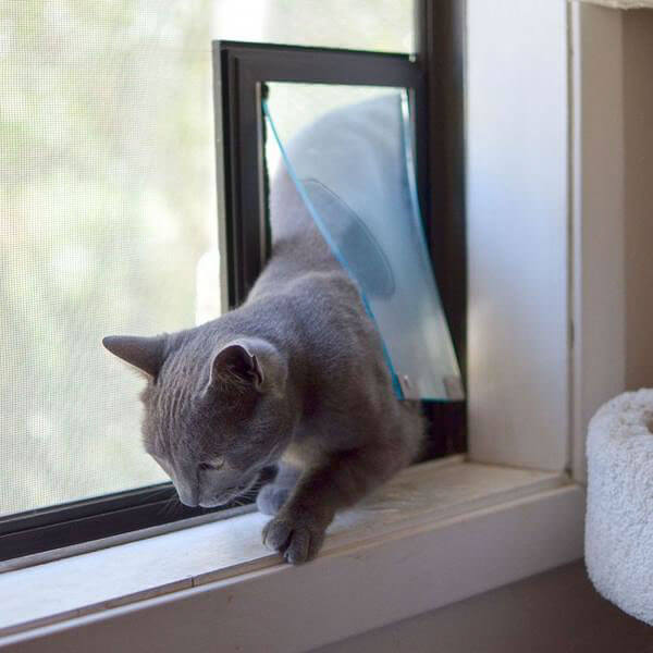 Hale Pet Doors for Screens - Dog & Cat Door - Image 4