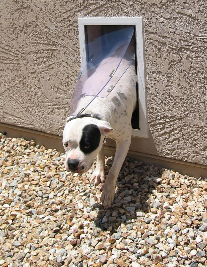Hale Pet Doors for Walls - Dog Door and Cat Door - Image 10