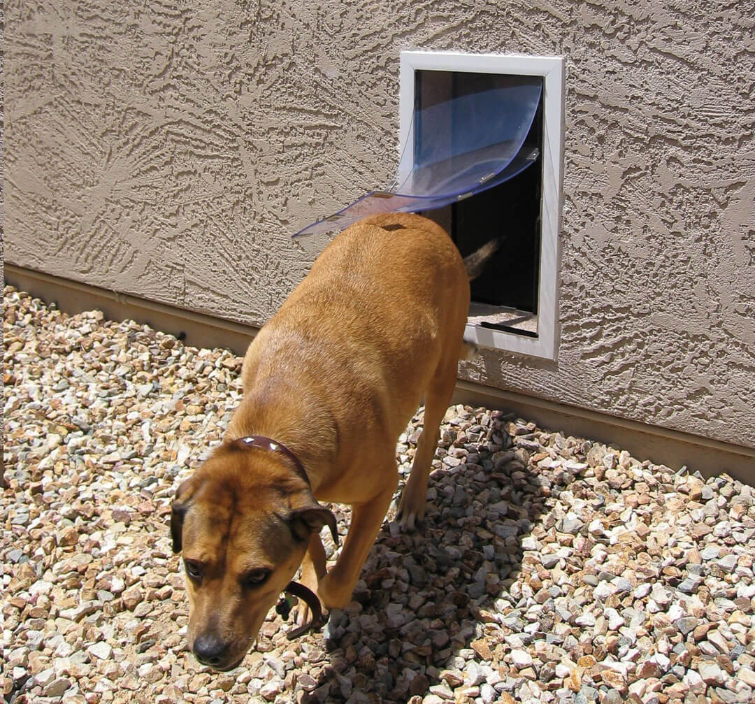 Hale Pet Doors for Walls - Dog Door and Cat Door - Image 11