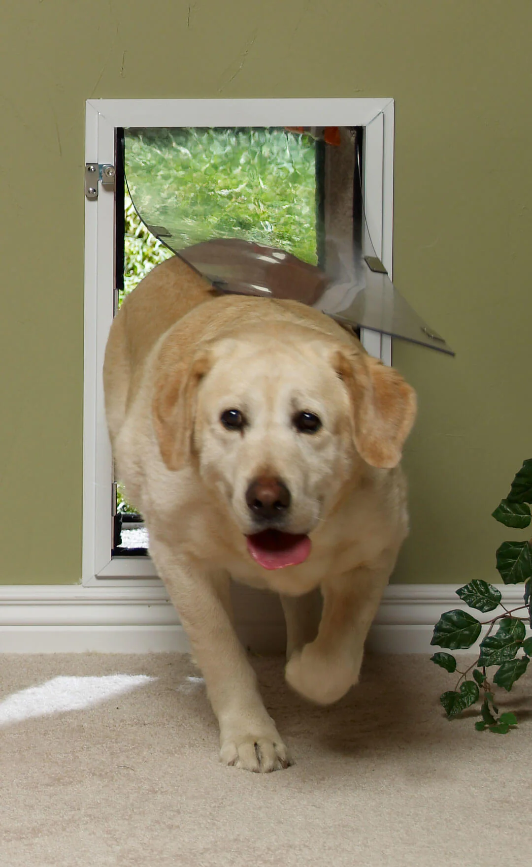 Hale Pet Doors for Walls - Dog Door and Cat Door - Image 3