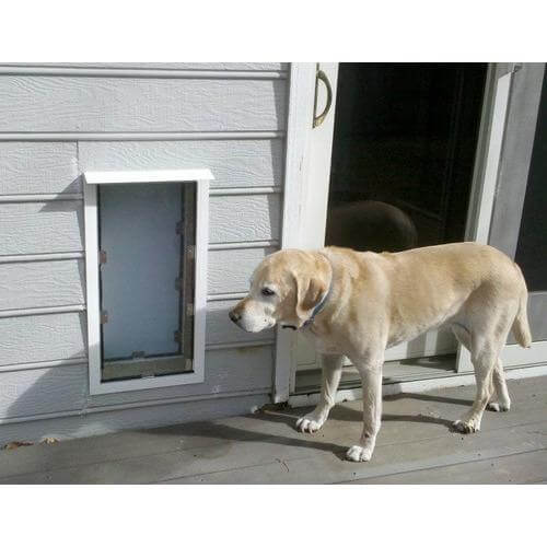 Hale Pet Doors for Walls - Dog Door and Cat Door - Image 4