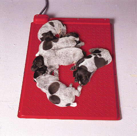 Kane Whelping Box Heating Mat - Image 4