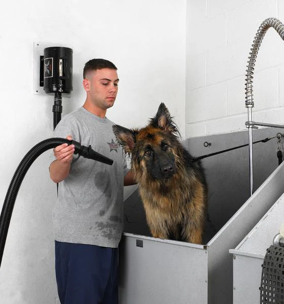 Metrovac Air Force Blaster Multi-Speed Pet & Dog Dryer - Image 3