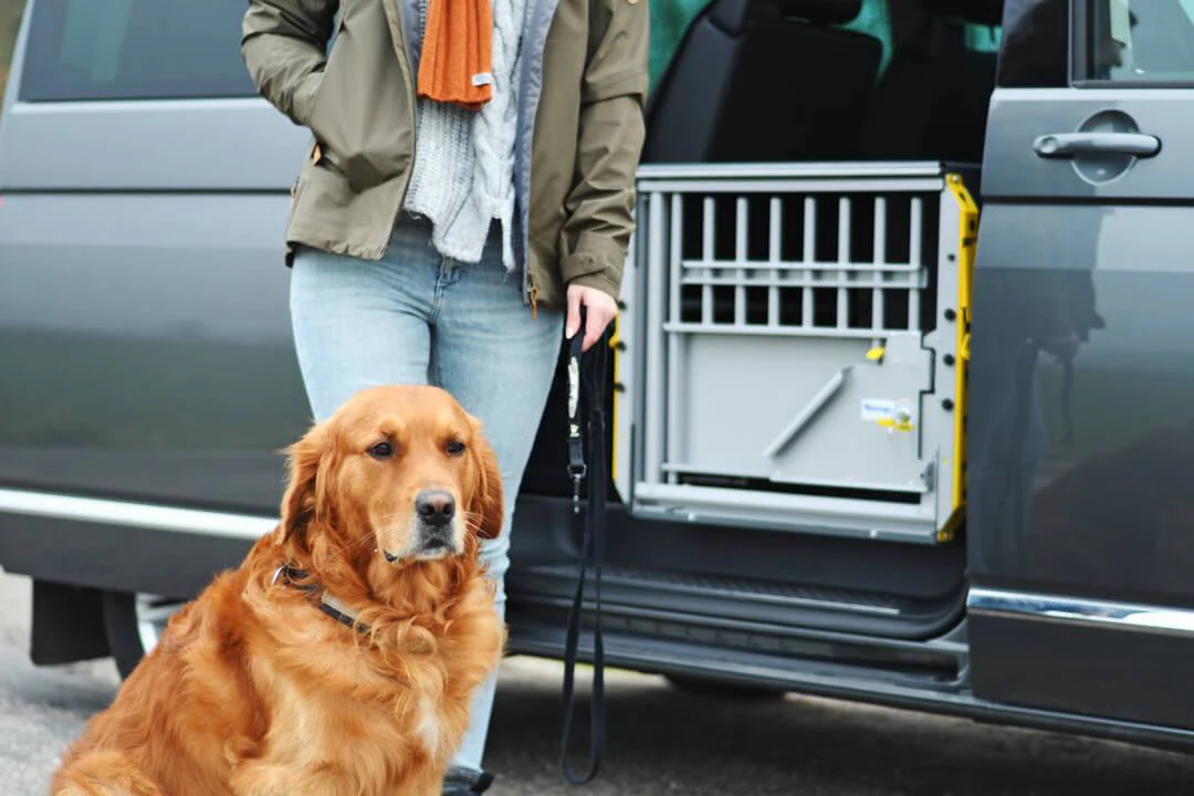 MIM MultiCage Transport Kennel - Image 4