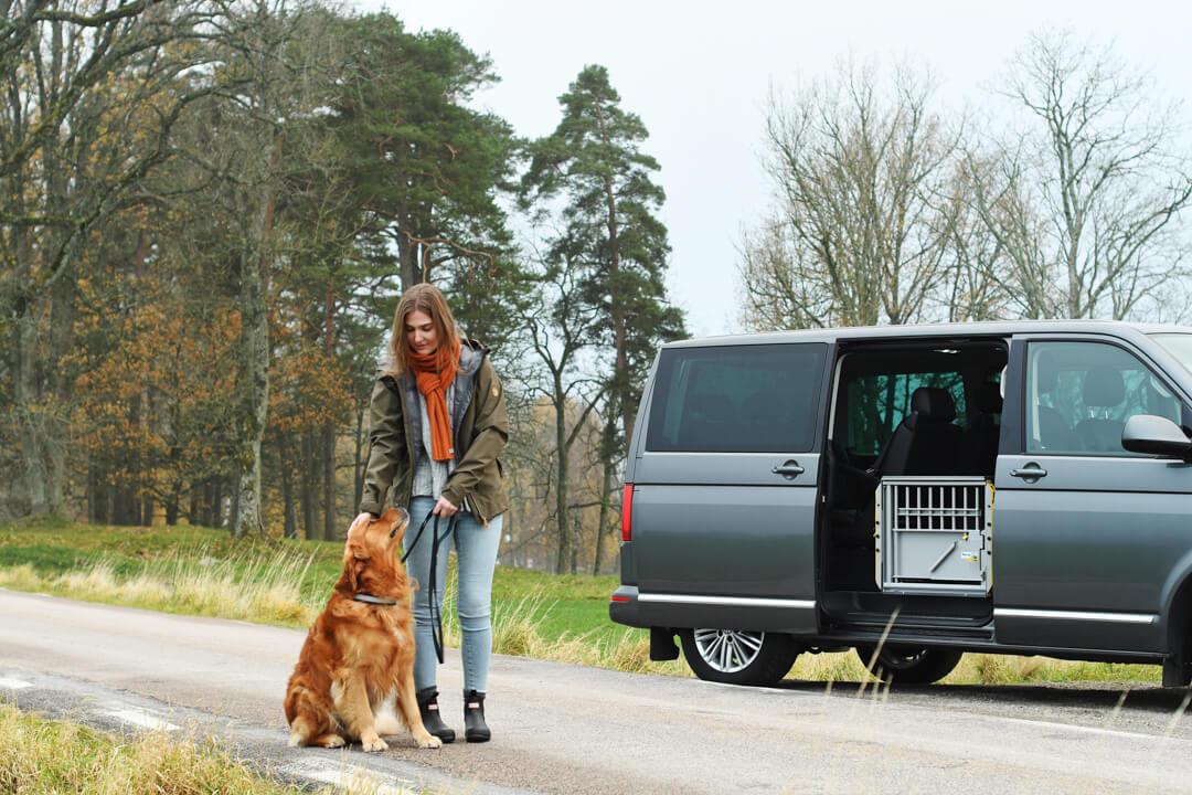 MIM MultiCage Transport Kennel - Image 6