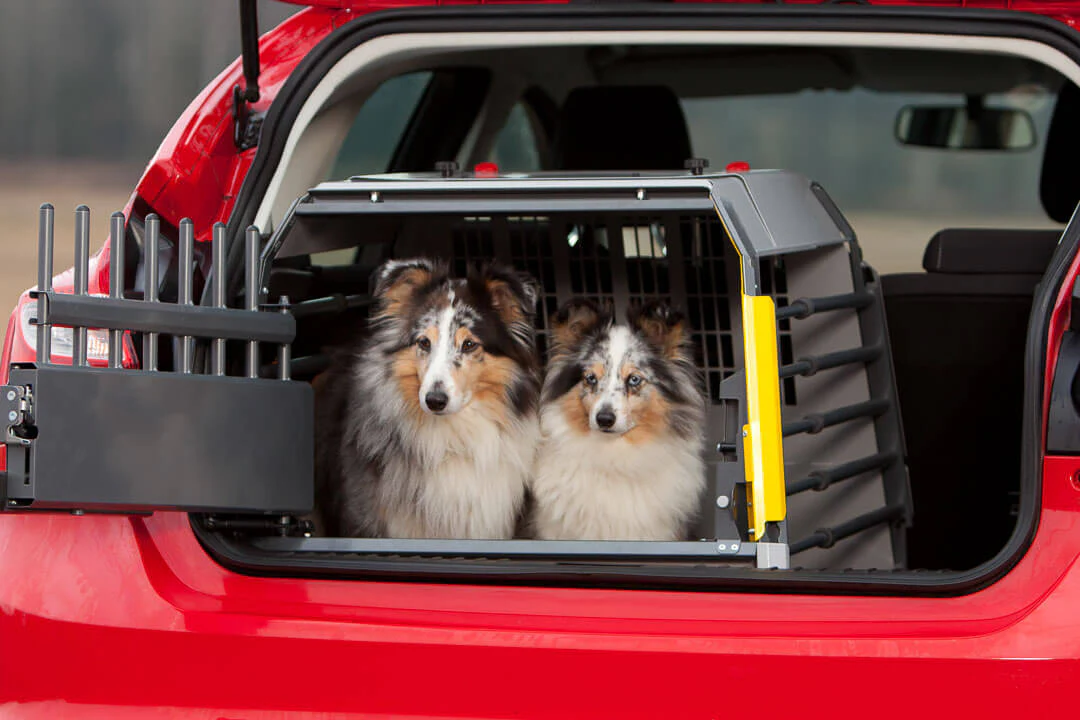 MIM Variocage Compact - Crash Tested Crate for Hatchbacks - Image 4