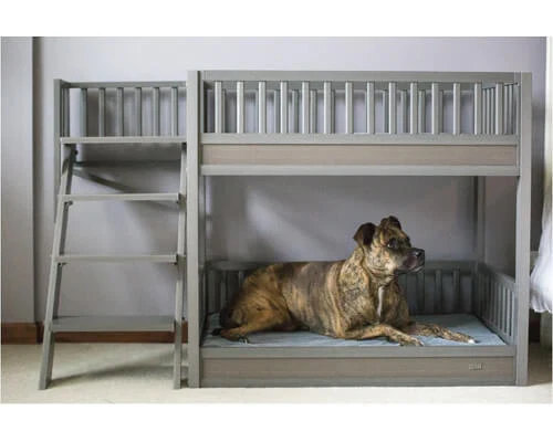 New Age Pet Aspen Pet Bunk Bed - Image 15