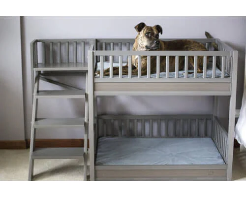 New Age Pet Aspen Pet Bunk Bed - Image 16