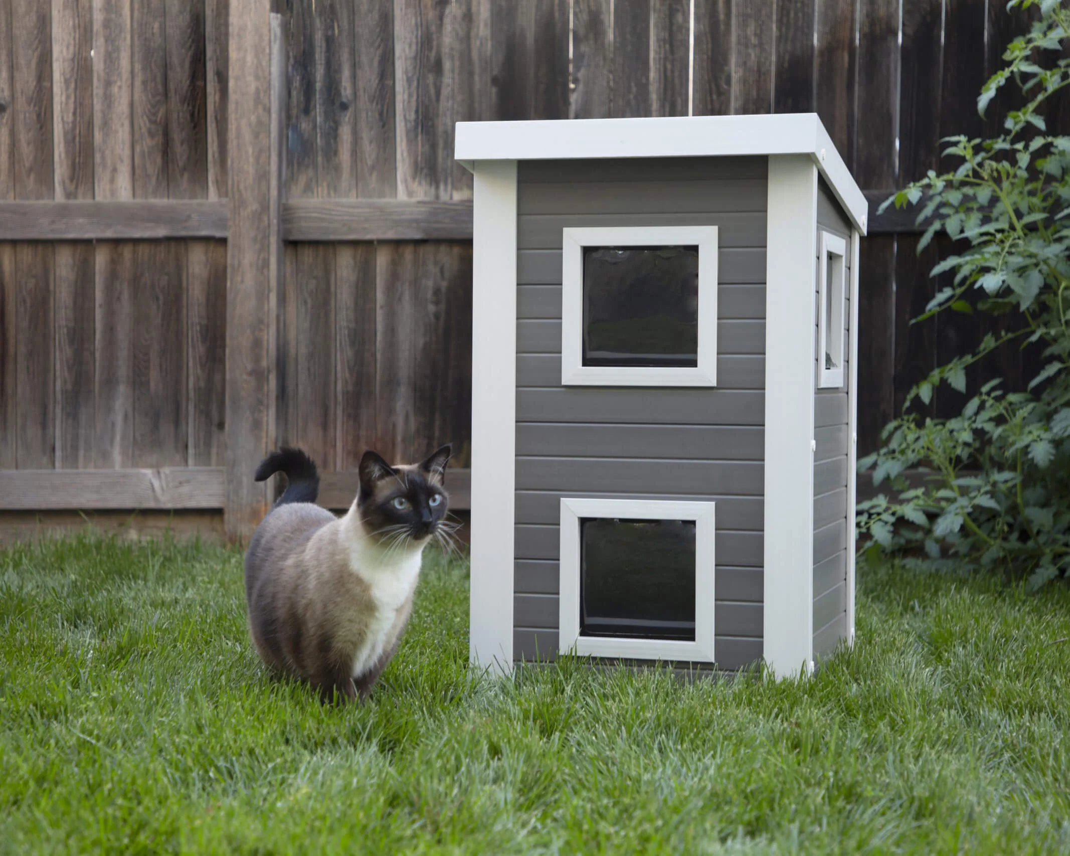 New Age Pet Feral Cat Townhouse - Image 3