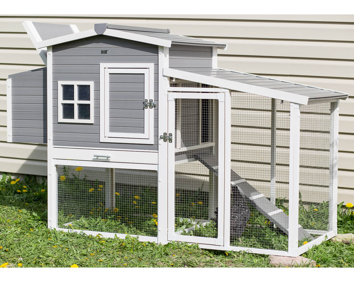 New Age Pet Hampton Chicken Coop with Pen - Image 4
