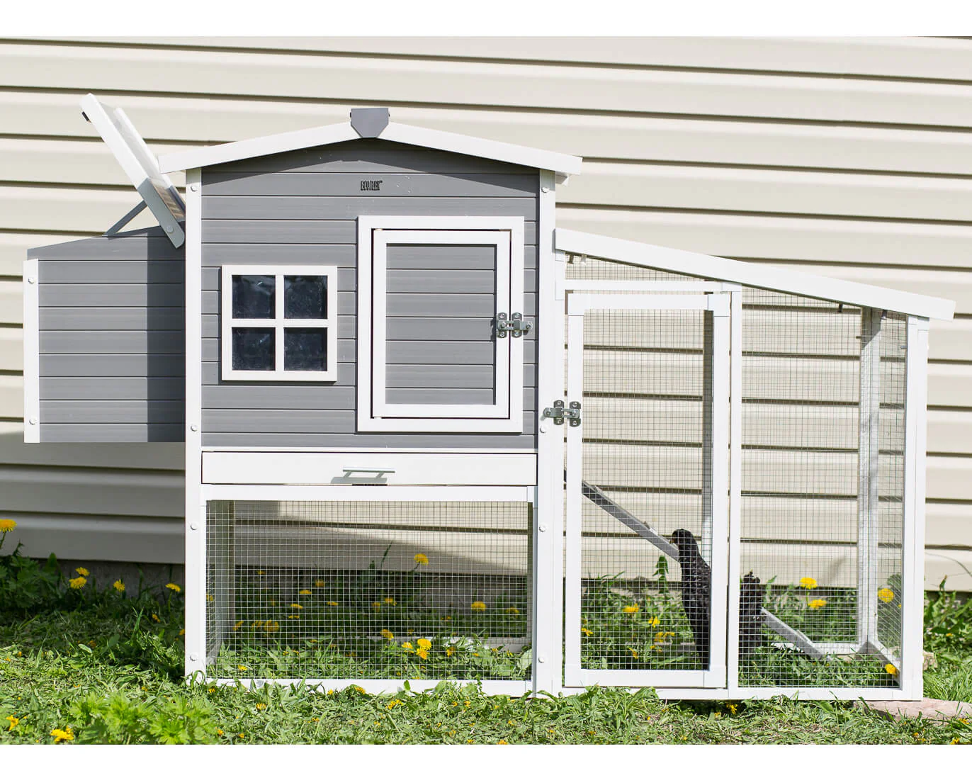 New Age Pet Hampton Chicken Coop with Pen - Image 5