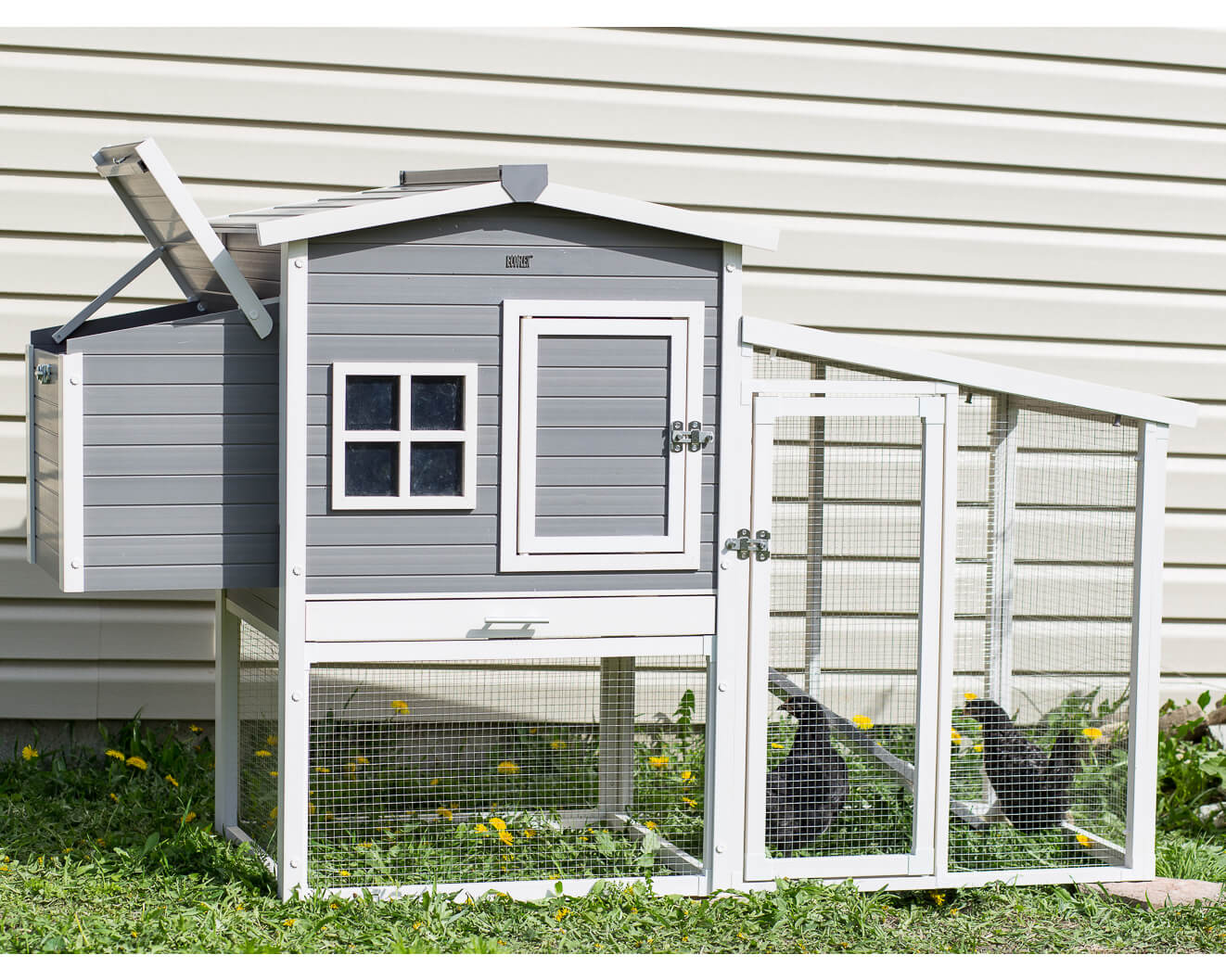 New Age Pet Hampton Chicken Coop with Pen - Image 6