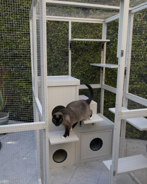 New Age Pet Kitty Katio House - Image 5