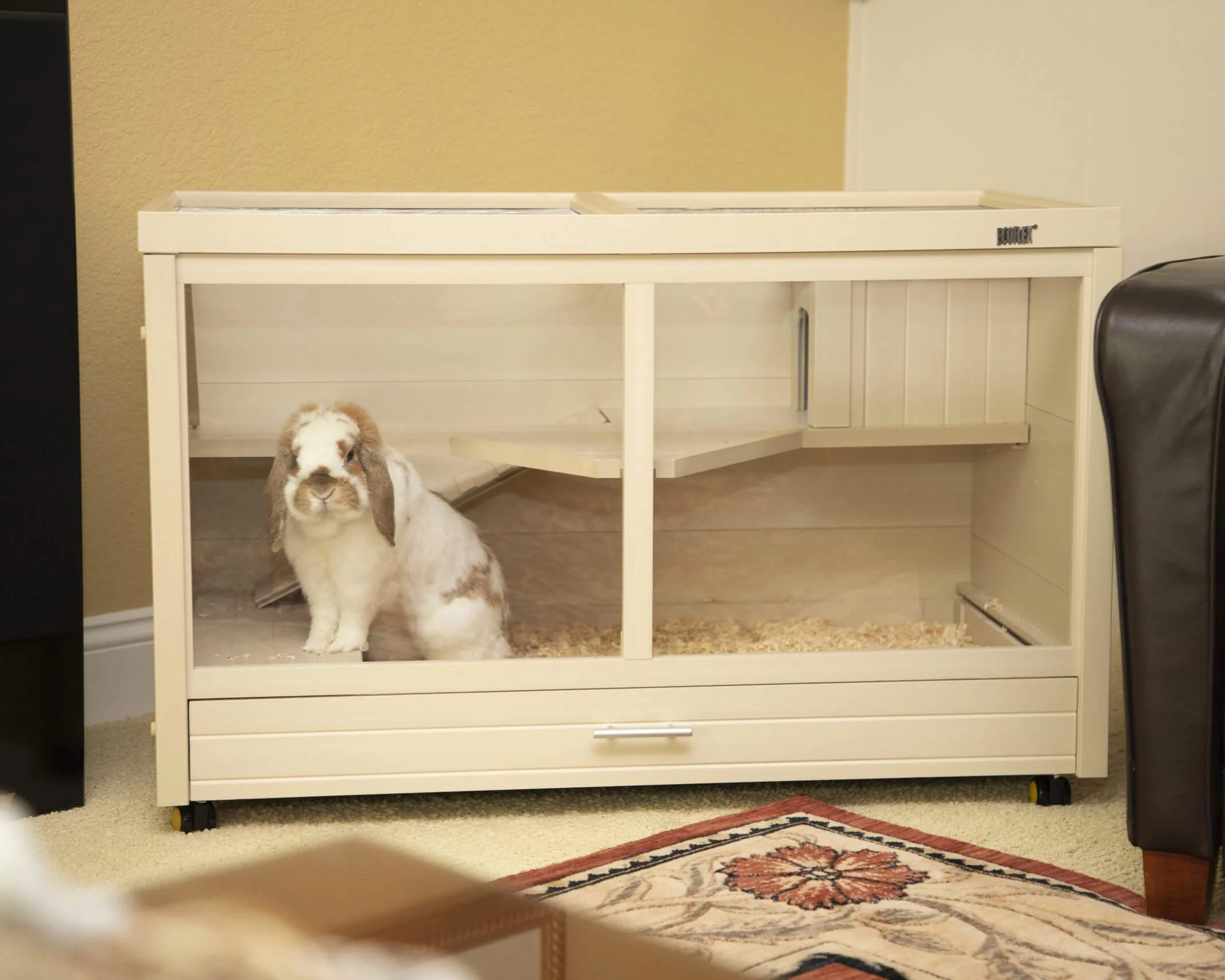 New Age Pet Park Avenue Small Animal Hutch - Image 6