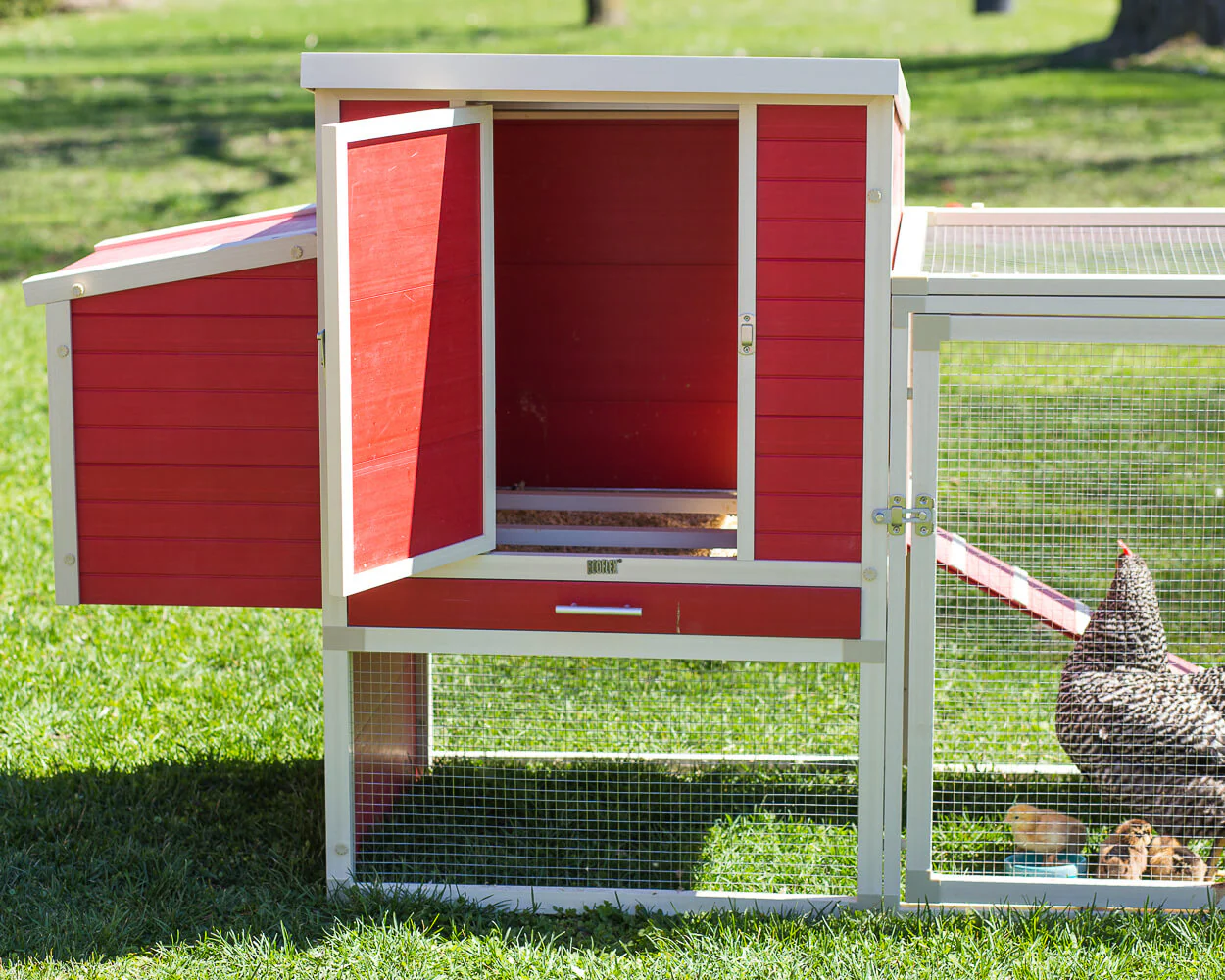 New Age Pet Sonoma Chicken Coop with Pen - Image 10