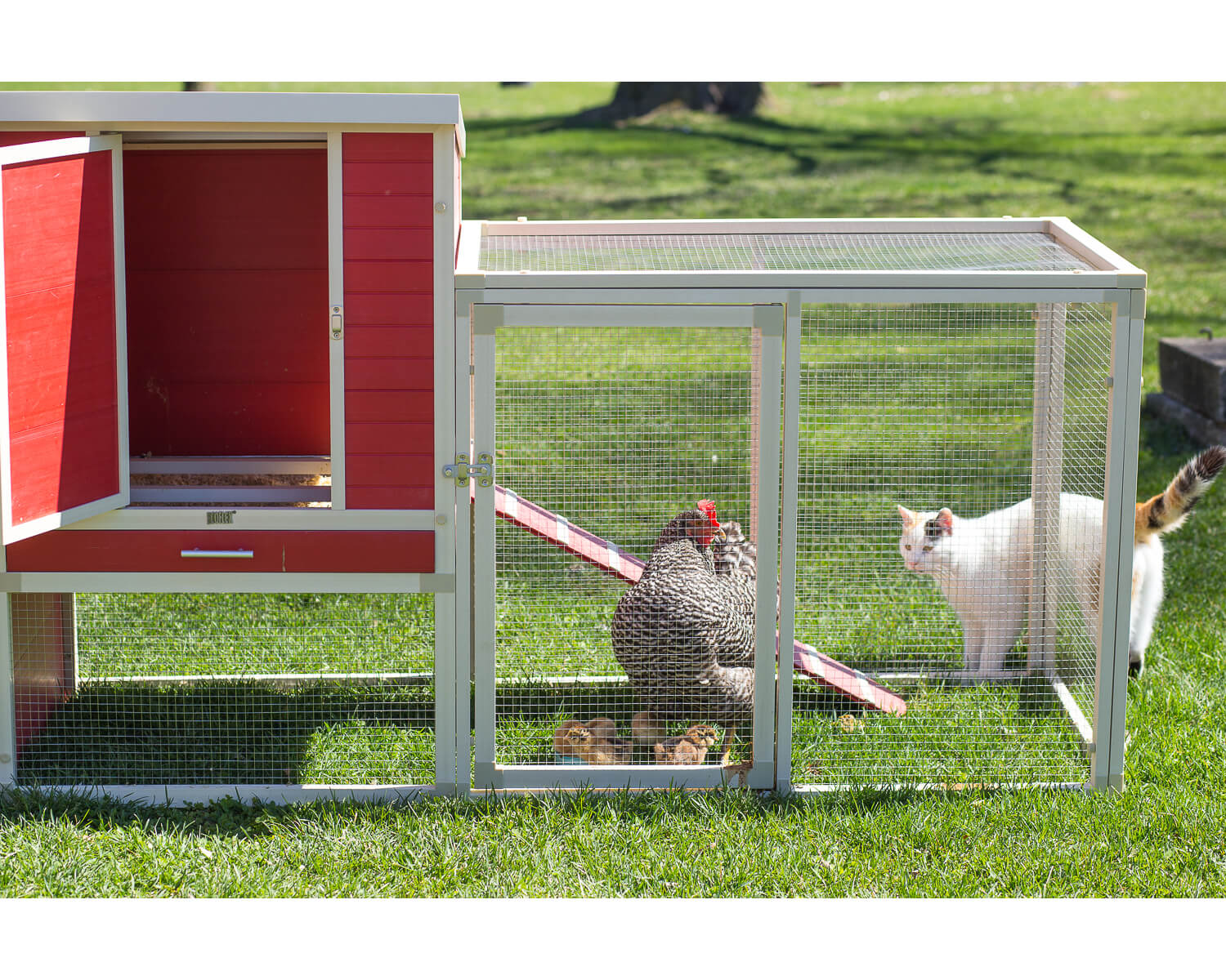 New Age Pet Sonoma Chicken Coop with Pen - Image 12
