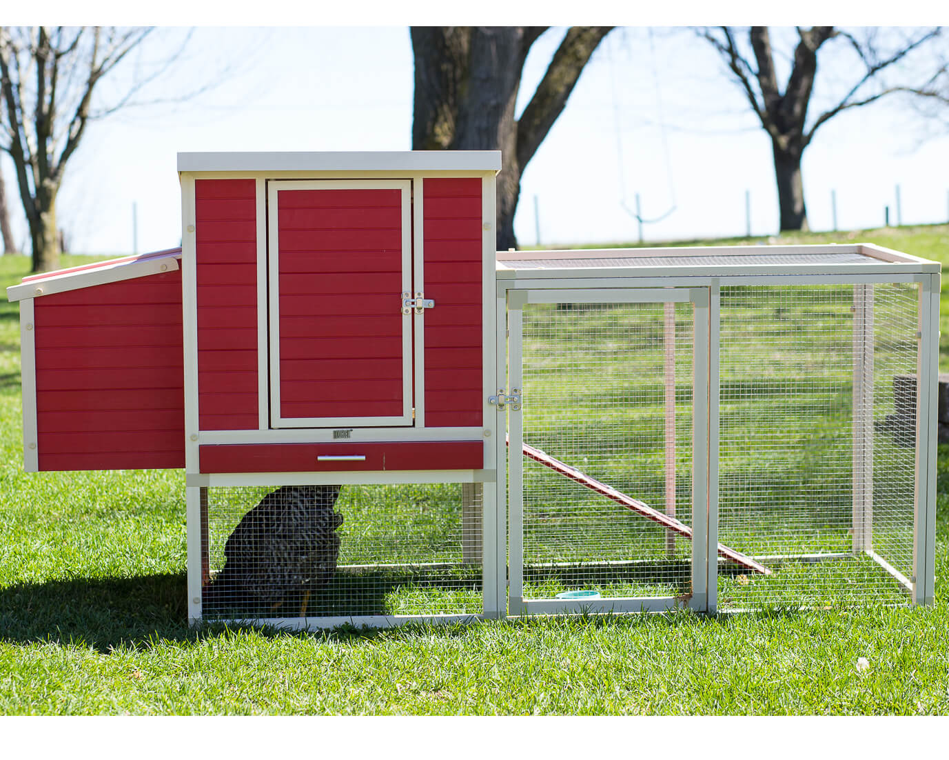 New Age Pet Sonoma Chicken Coop with Pen - Image 3