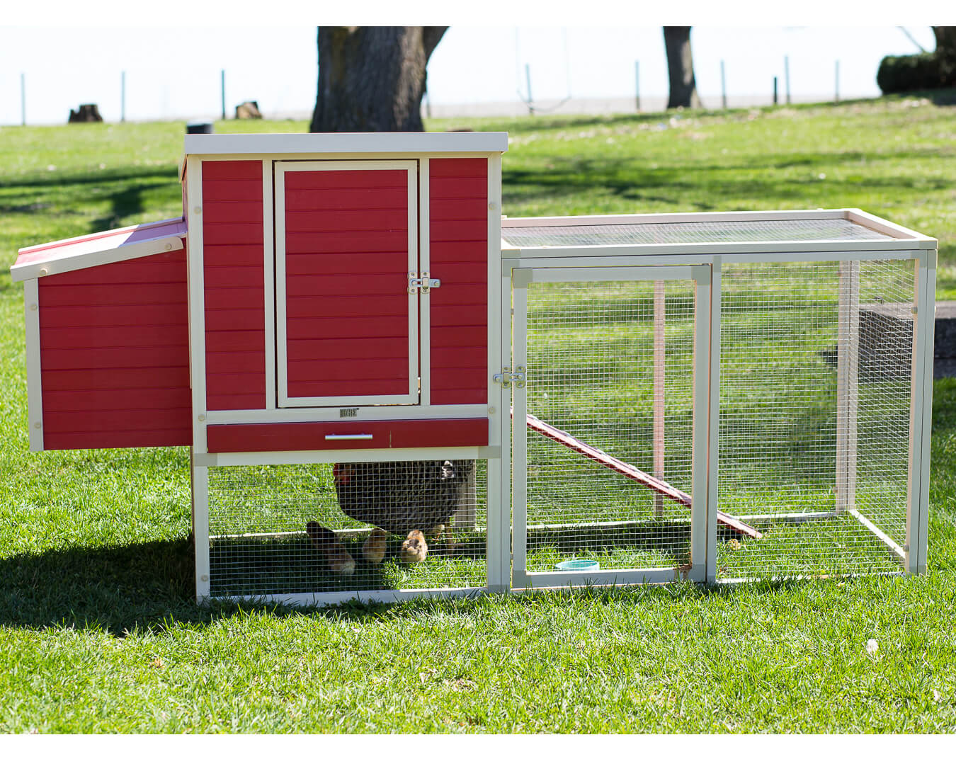 New Age Pet Sonoma Chicken Coop with Pen - Image 4