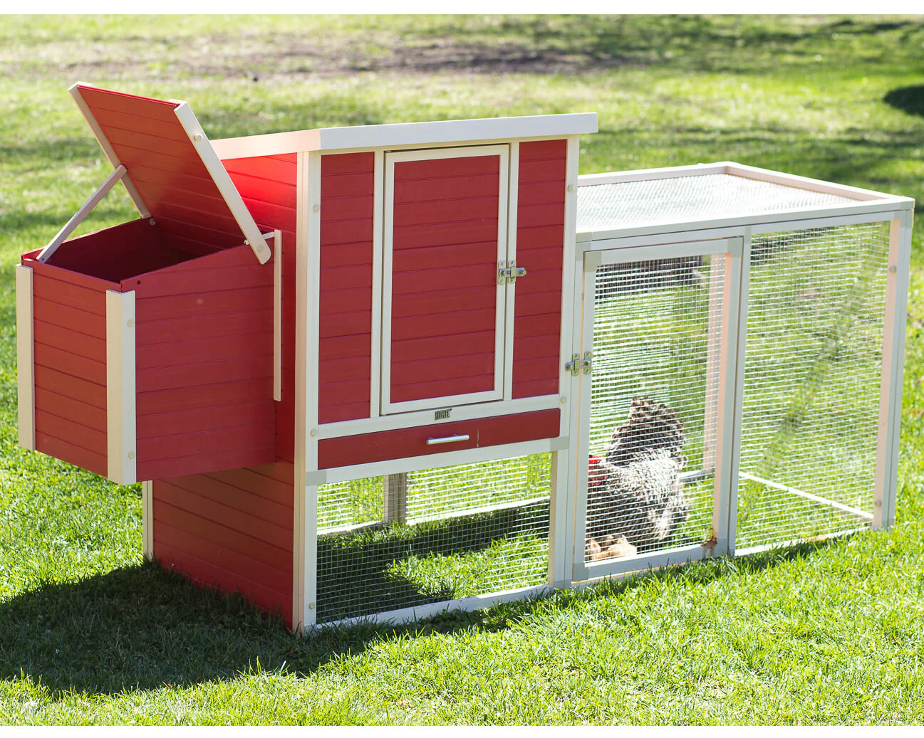 New Age Pet Sonoma Chicken Coop with Pen - Image 5