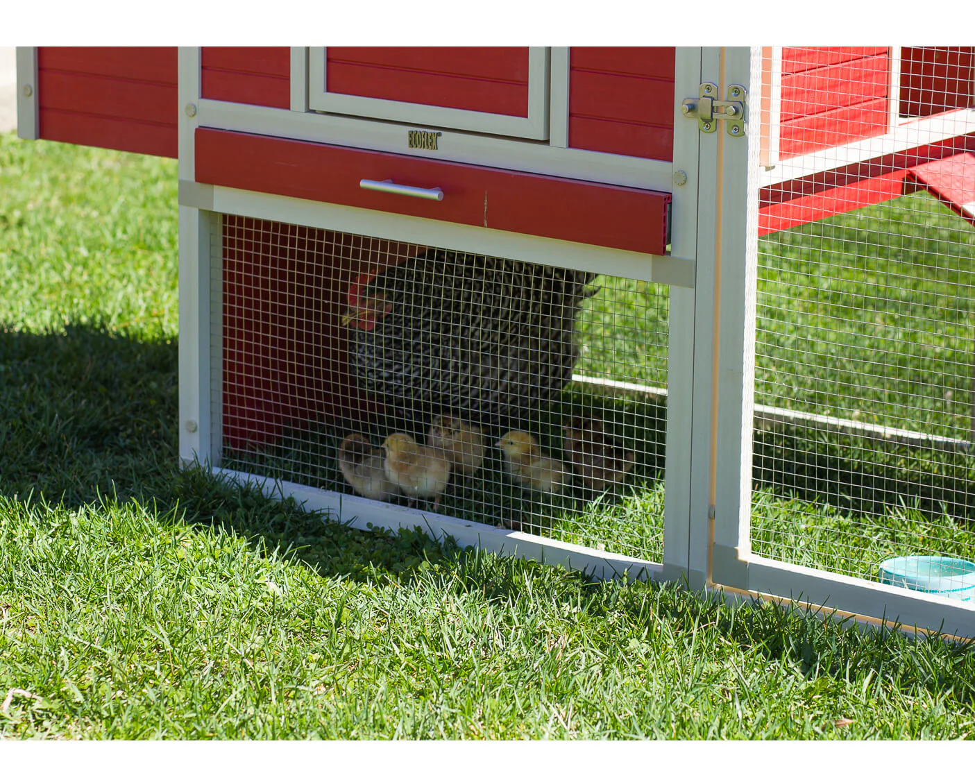 New Age Pet Sonoma Chicken Coop with Pen - Image 6