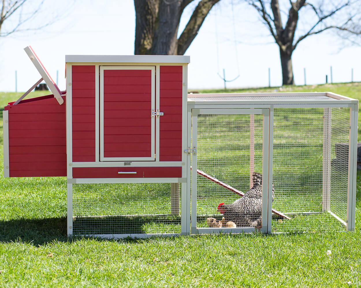 New Age Pet Sonoma Chicken Coop with Pen - Image 7