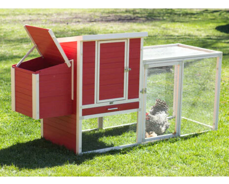 New Age Pet Sonoma Chicken Coop with Pen - Image 8