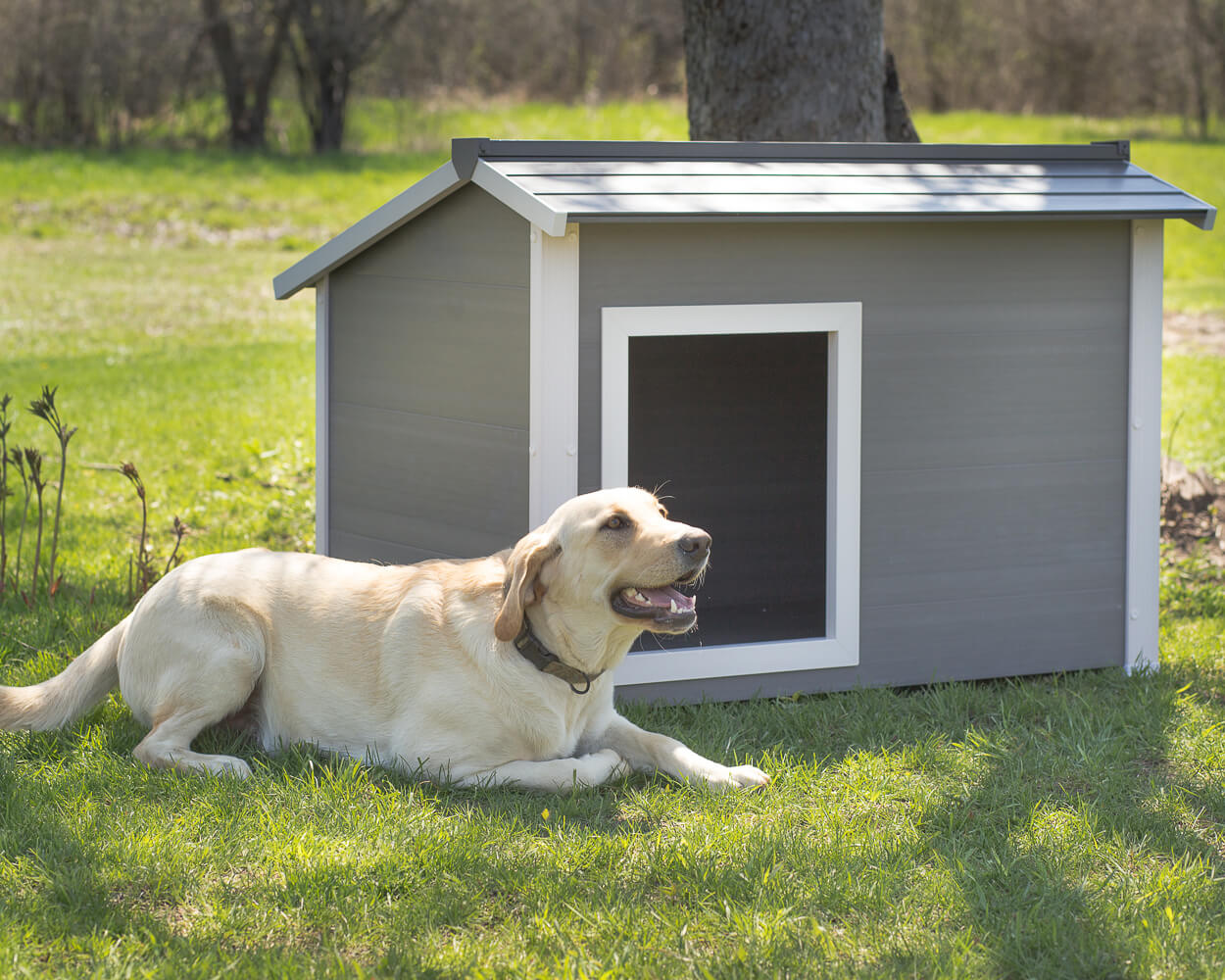 New Age Pet ThermoCore Super Insulated Dog House - Image 11